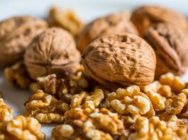 walnut, nut, walnuts, nuts, walnut, walnut, walnut, walnut, walnut, walnuts, walnuts, walnuts, walnuts, nuts