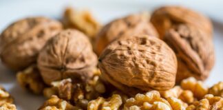 walnut, nut, walnuts, nuts, walnut, walnut, walnut, walnut, walnut, walnuts, walnuts, walnuts, walnuts, nuts