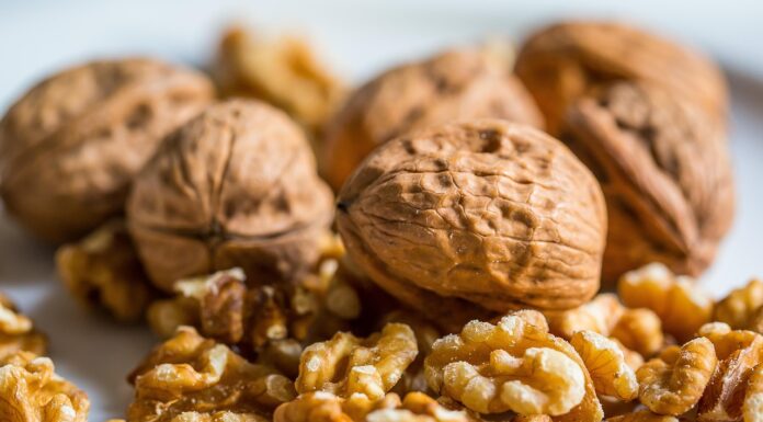 walnut, nut, walnuts, nuts, walnut, walnut, walnut, walnut, walnut, walnuts, walnuts, walnuts, walnuts, nuts