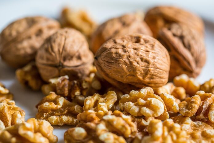 грецкие орехи walnut, nut, walnuts, nuts, walnut, walnut, walnut, walnut, walnut, walnuts, walnuts, walnuts, walnuts, nuts